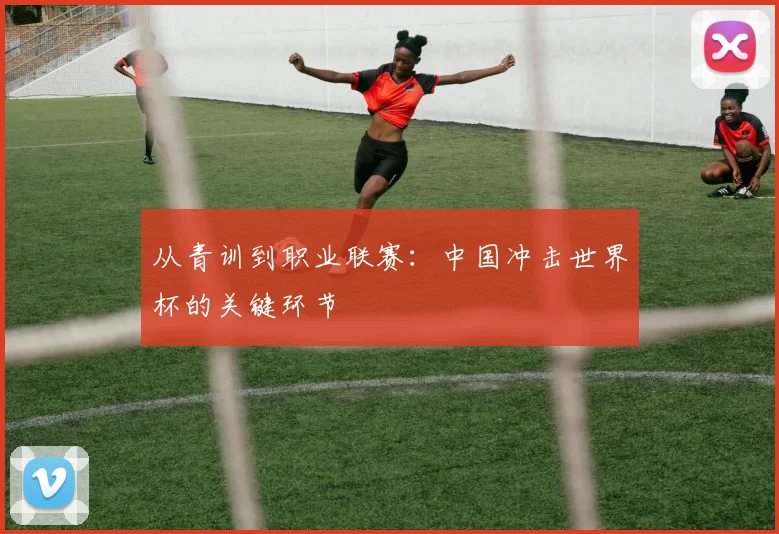 从青训到职业联赛：中国冲击世界杯的关键环节
