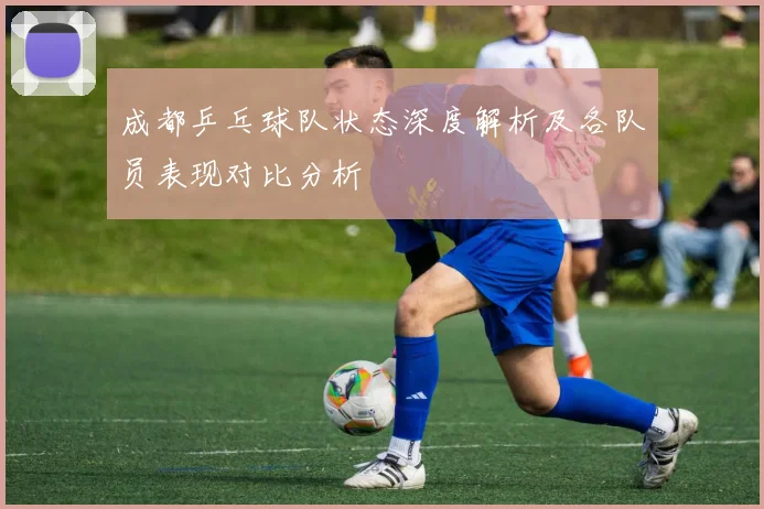 成都乒乓球队状态深度解析及各队员表现对比分析