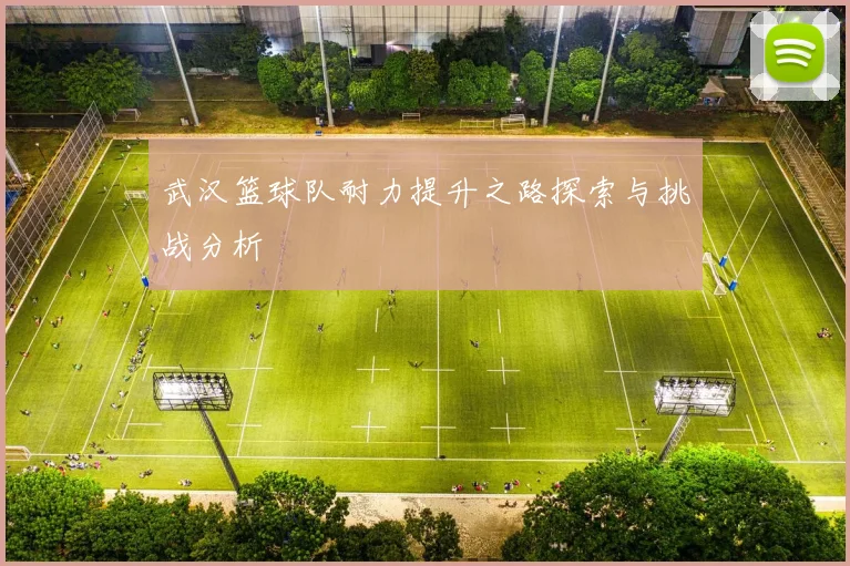 武汉篮球队耐力提升之路探索与挑战分析